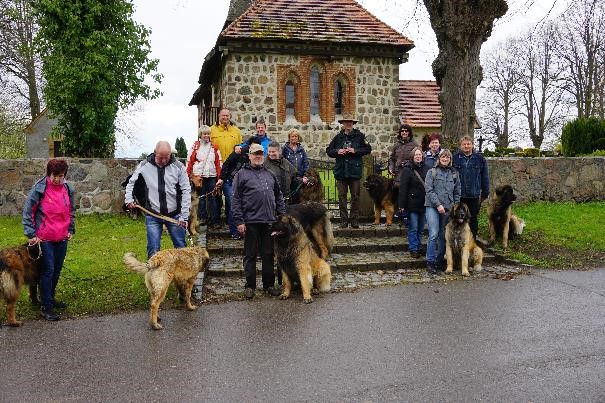 leonberger18