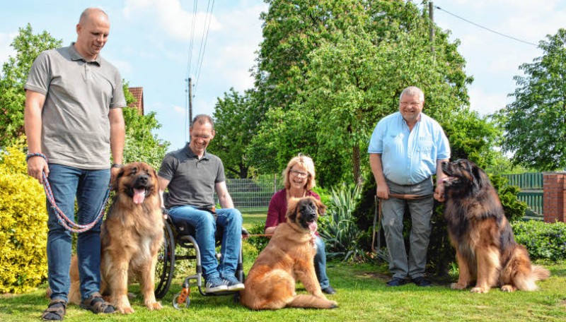 Sie kamen zum Familientreffen der Leonberger in Harst zusammen: Lars Valentin mit Cedric, Frank Bern mit Denisa, Birgit und Hartmut Schlenker mit Wasa. (v.l.n.r.). Sie freuen sich schon auf die Spezialrassehundeausstellung am 1. Juni in Wittenburg.